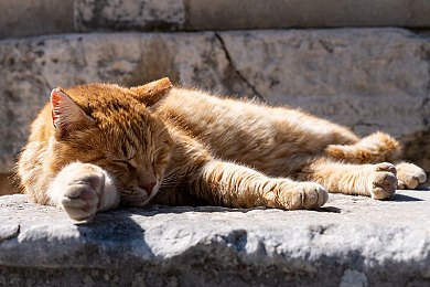 紧急通知狼官网最新地域网名：网名新时尚，地域风来袭-1