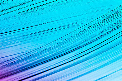 天天干天天色：工作生活平衡新启示：揭秘“天天干，天天色”-1