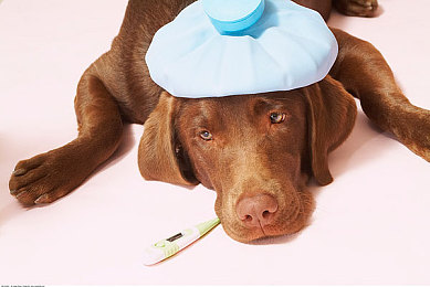 两个武警官兵裸体互摸裤裆：军中丑闻：裸摸事件震惊公众