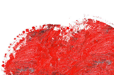 欧美人与禽ZoZ0善交：欧美人与鸟儿友谊：揭秘和谐共处奥秘-1