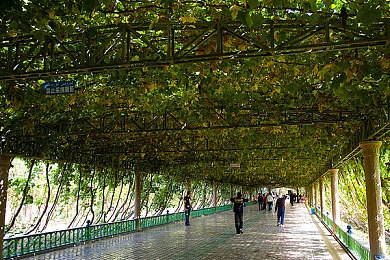 恋爱剧场全部列表安卓uc：浪漫恋爱剧场新篇，体验沉浸式恋爱之旅-1