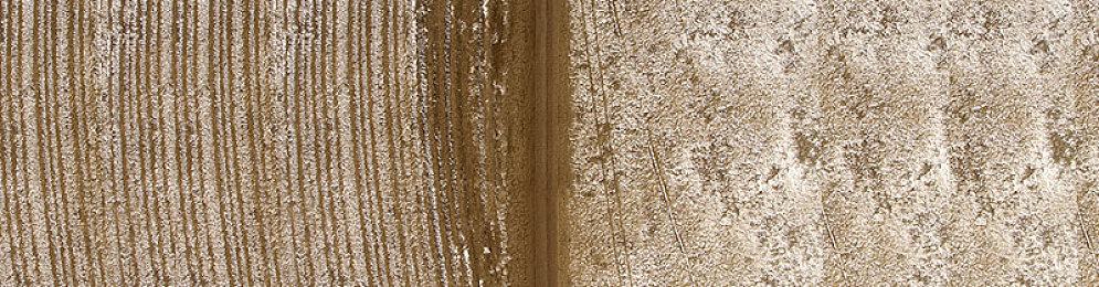 BKYSS汉化组所有游戏大全：汉化达人盘点，BKYSS汉化组佳作汇总