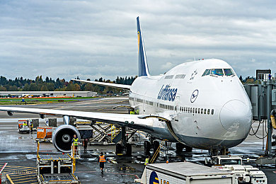 老板不让穿内裤随时做黄说：职场游戏新潮流，内裤禁令引热议-1