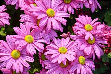 甘雨xman:游戏界女神联手新星,跨界盛宴来袭-2