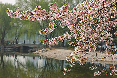 海角hai2406c54.tpo:科技盛宴:揭秘海角研讨盛况-1