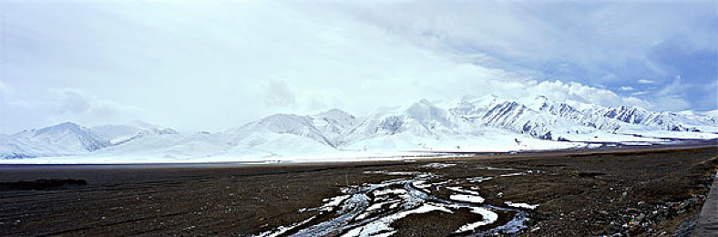 张丽大战黑鬼40厘米：女性勇者挑战，40厘米优势制胜-1