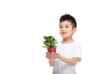 推特中国版r8：推特中国版亮相，全新社交体验引期待-1