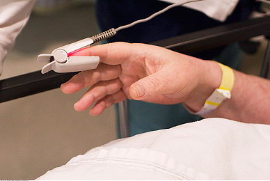 一边亲上边一边摸下面：奇幻王国冒险新体验，触感挑战来袭