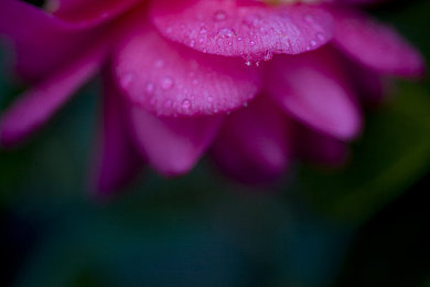 51黑料张津瑜被躁120分钟视频：游戏主播幕后辛酸，她如何挺过120分钟躁动？-1