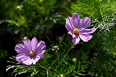 one.yg13.aqq一个致敬韩寒：独特游戏致敬韩寒，玩家沉浸体验