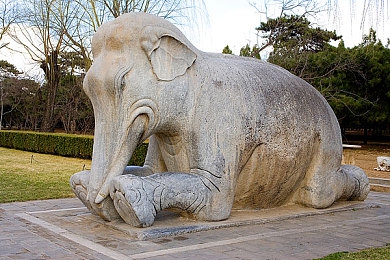 黄色软件3.3.3：软件升级大揭秘，新功能惊艳亮相！-1