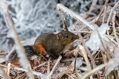 星空无极限MV国产剧哪里能看:星MV热播,揭秘科幻奇幻世界-1