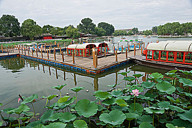 王伟忠和儿媳周莹回乡扫墓：企业家回乡祭祖，传承家族美德-1