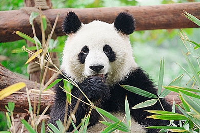 揉我胸 啊 嗯～出水奶视频：奶妈养成奇幻之旅，出水奶引玩家热议-1