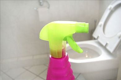 五月丁香六月婷婷色：五月丁香绽放，六月月季盛放-1