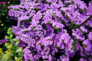 s是怎么调m的200条：解锁最佳体验：200招秘籍升级你的设备