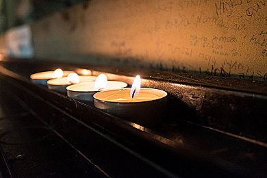 男生插女生的软件：校园青春手游，插花系统引关注