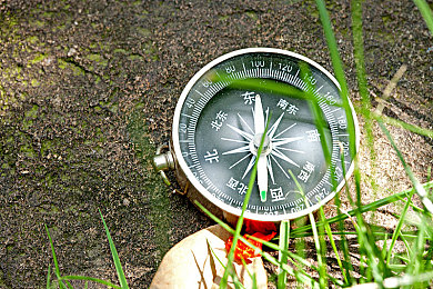 伦伦稀缺另类网爆黑料：明星隐私风暴，真相背后藏玄机-1