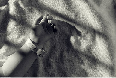 大奶网：奶源直供电商，大奶网崛起记-1