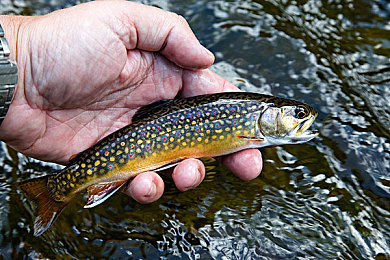 5G天天爽：5G来袭，生活大不同-4