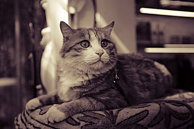 蜜芽796.coo永不失联：奇幻世界，永不失联，蜜芽796.coo独领风骚