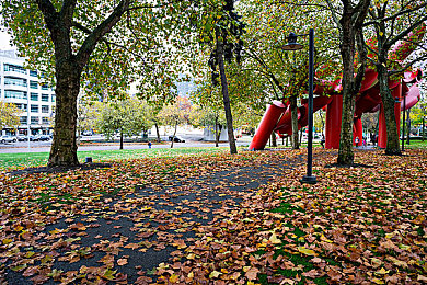 麦乐迪版女超人满天星：勇敢追梦女超人，音乐传奇引关注-2