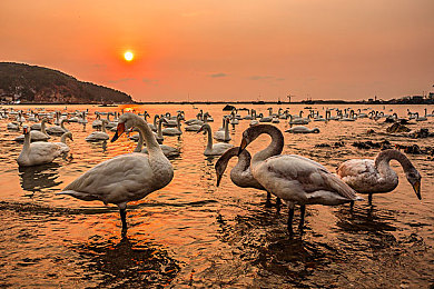 成品ppt的网站在线看上海：游戏盛宴来袭，独家内容不容错过