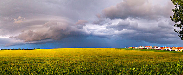 儿媳周莹回乡扫墓：孝心满满！儿媳回乡祭祖传承家族美德-1
