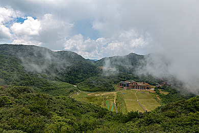 啊啊啊网站：《王者荣耀》攻略大揭秘，独家技巧助你称霸！-2