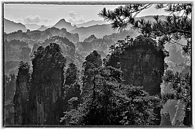 五月停亭六月丁香：江南水乡：五月停亭，六月丁香，诗意盎然-3