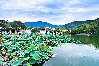 东方影库1800：影视盛宴，东方影库1800吸睛无数-2