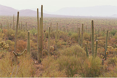 天天色色：网海泛舟，＂天天色色＂生活启示录-1