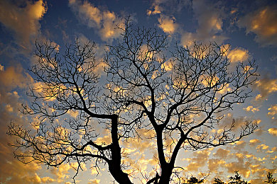 黑人迪克娇小中国妇女：异域邂逅：勇敢探险者与娇小中国妇女的奇幻旅程-4