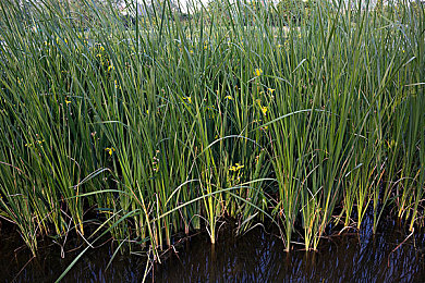 老师让你桶个够：关爱无限，师恩如海-3