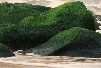 芭乐视app下载旧版本ios版安装:经典回归!芭乐视旧版APP安装教程大揭秘-2