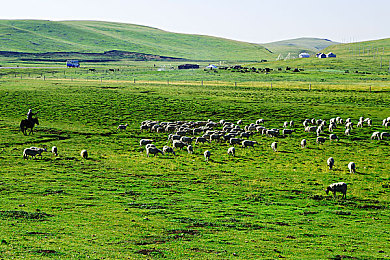 网曝热门事件  泄密：神秘游戏核心泄露，玩家热议不已-1