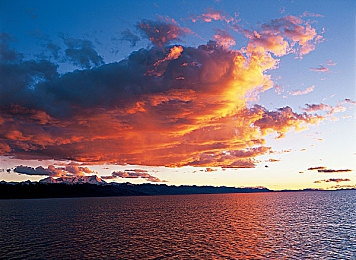 不知火和三个小男孩在森林公园猜数字答案：神秘数字谜题，友谊成长故事传颂