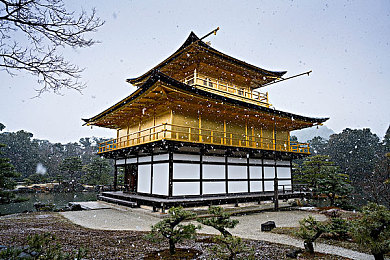 无尽 可爱 得到 动画：奇幻冒险，少女追梦，动画新经典-2