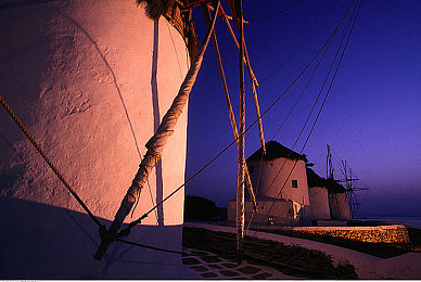 一个好妈妈16个字光头强最佳答案:光头强冒险之旅,母爱温暖玩家心-1