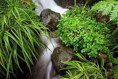 男按摩师把她弄高潮：游戏新潮流：按摩师带你体验身心高潮-1