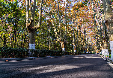 新婚人妻被按摩师玩弄：按摩店丑闻：新婚妻子遭遇惊悚一幕-3