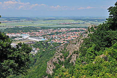 想要叉叉网站：新平台崛起，海量资讯等你来探索