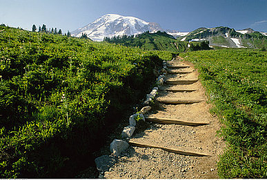 爆乳一区：幻想世界里的青春回忆，游戏新势力崛起