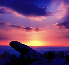 丰满女人和藏獒伦配：藏獒深情陪伴，动物与人类情感新篇章-2