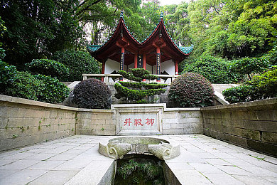 张丽被黑人玩到翻白眼：中外友谊，欢乐互动瞬间走红-2