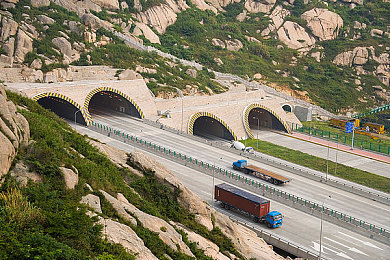 曜给西施做剧烈运动:明星健身对决,燃爆健身房!-3