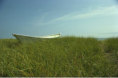 免费的东京热app:免费视频盛宴,东京热app亮点揭秘-1