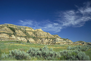 s是怎么调m的200条：解锁最佳体验：200招秘籍升级你的设备-3