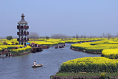 a√天堂资源福利www：资源天堂，便捷生活新选择-1