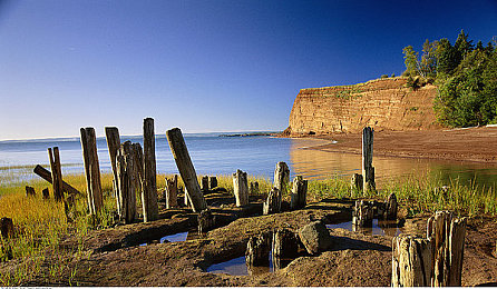 欧美变态videos绿帽情节：网络乱象：揭秘“变态视频”背后的隐秘世界-2